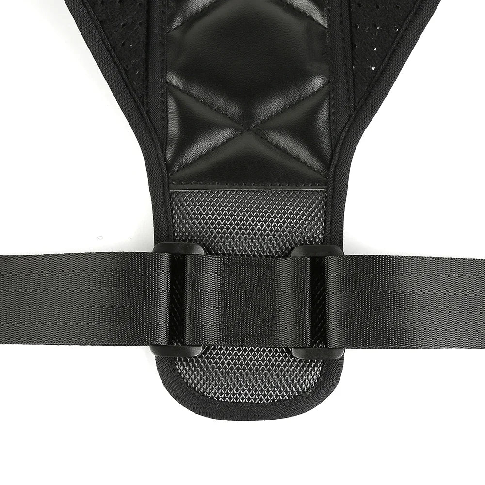 Ceinture Dos